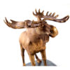 Bronze statuette Moose