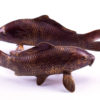 Bronze statuette Carp