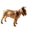 Bronze statuette English Bull Terrier