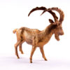 Bronze statuette Bezoar ibex