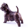 Bronze sculpture West Highland White Terrier