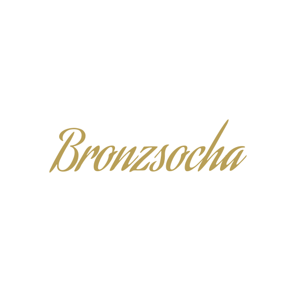 bronzsocha.cz logo
