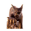 Bronze sculpture Lynx on the hunt